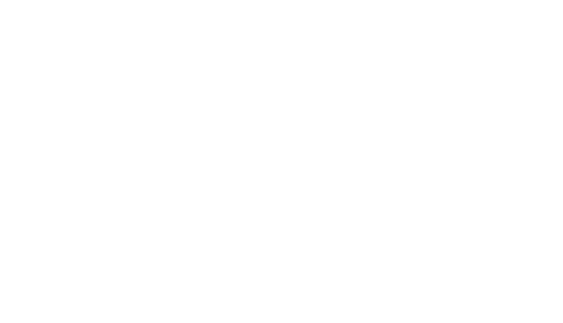 Integrity Icon